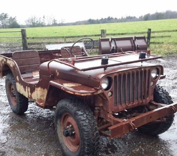 Foto 1 do Conto erotico: Me deliciei no cavalo