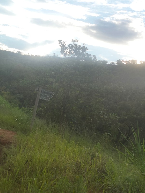 Foto 2 do Conto erotico: Mamando o coroa