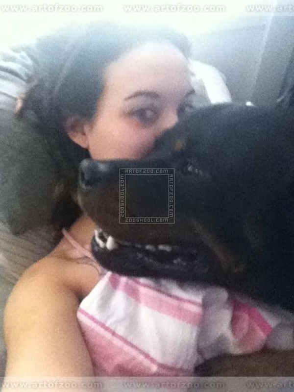 Foto 1 do Conto erotico: Flagrei minha prima dando para o cachorro ?? dela.