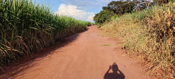 Foto 1 do Conto erotico: Final de semana inusitado.