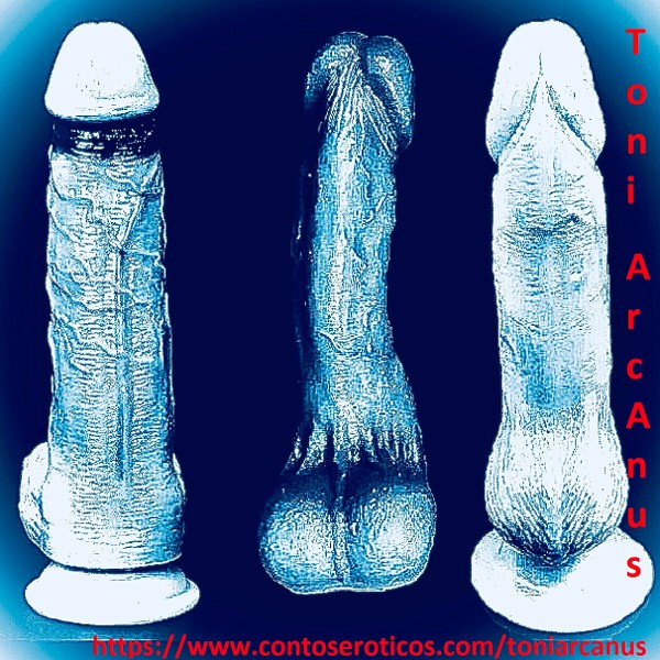 Foto 1 do Conto erotico: Lusas Domme's