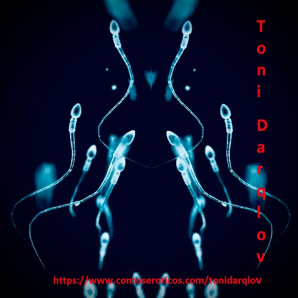 Foto 3 do Conto erotico: Masturbação Anal