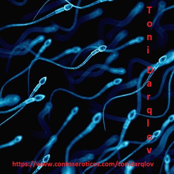 Foto 3 do Conto erotico: Lusas Domme's