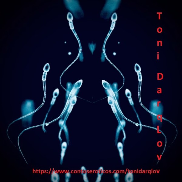 Foto 3 do Conto erotico: Erótica Sina