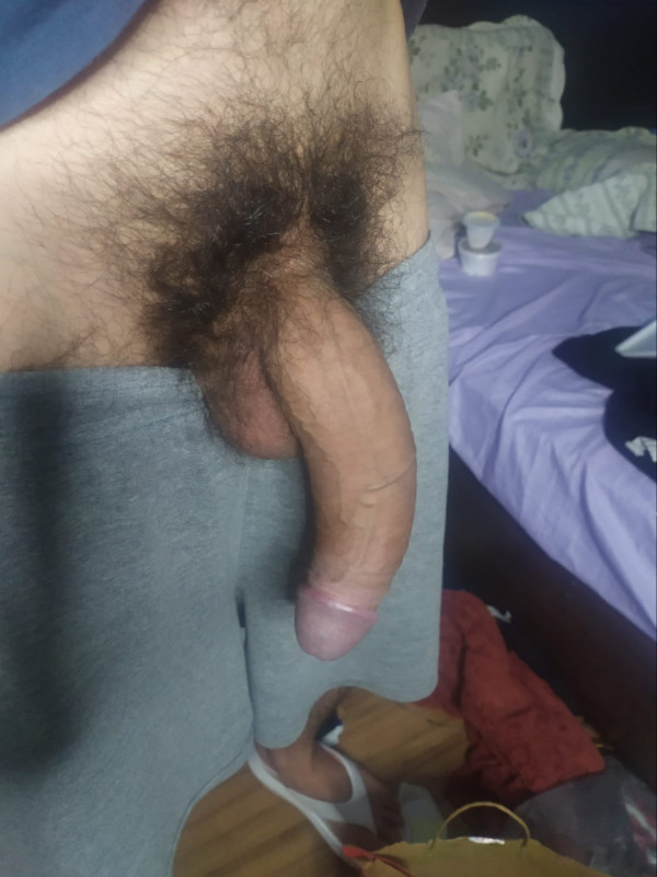 Foto 1 do Conto erotico: Égua Cora (fictício)