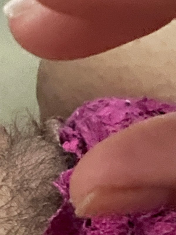 Foto 1 do Conto erotico: Toque