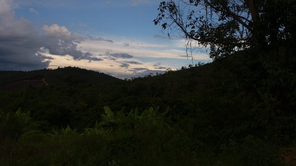 Foto 1 do Conto erotico: Na fazenda com o primão