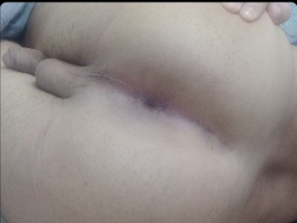 Foto 2 do Conto erotico: Brincando com o meu tio Fernando...