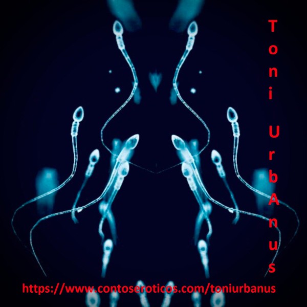 Foto 3 do Conto erotico: Os Versos Anais II