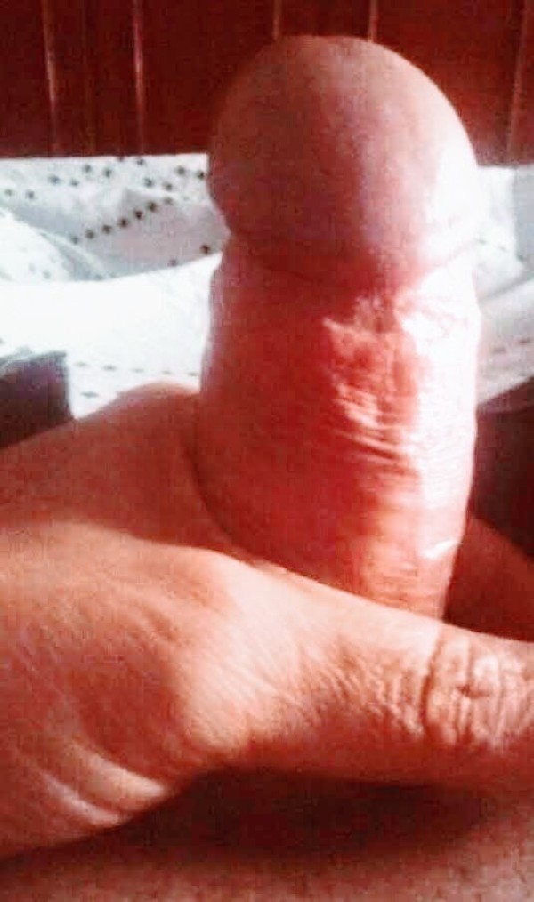 Foto 3 do Conto erotico: Série 05 A NOITE QUE CAMILLE SENTOU NO MEU COLO NA FESTA