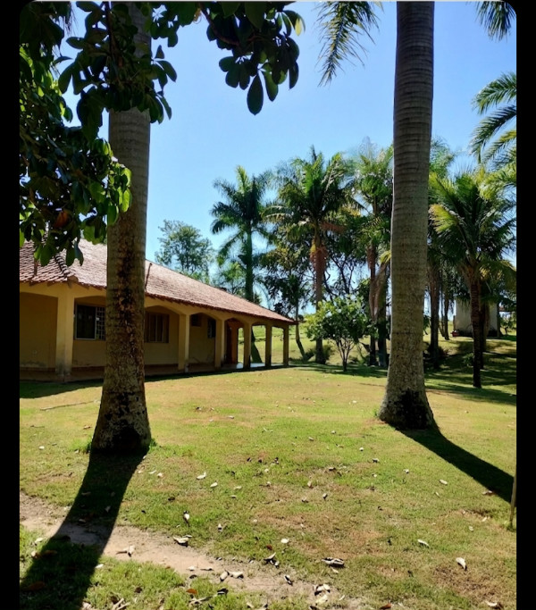 Foto 4 do Conto erotico: Final de Semana na Chácara do Professor. Parte I