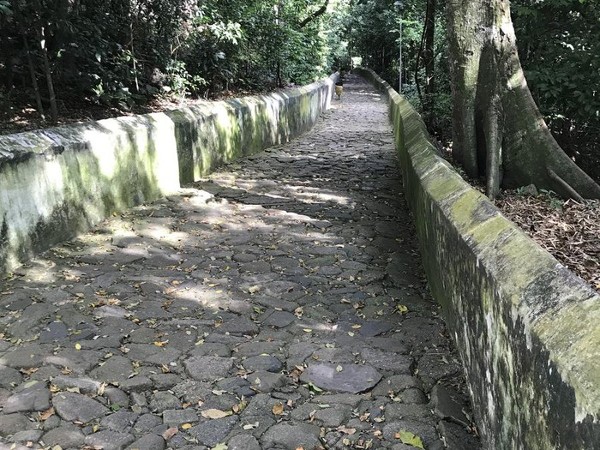 Foto 2 do Conto erotico: Mamei o paizão no Convento da Penha