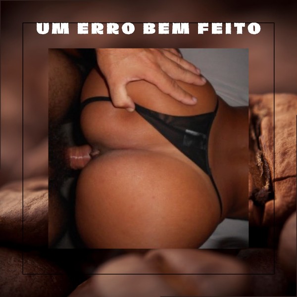 Foto 3 do Conto erotico: “Um Erro Bem-Feito”