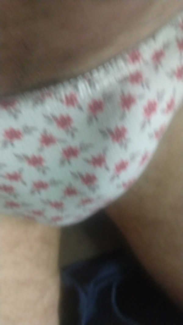 Foto 1 do Conto erotico: A primeira vez que usei calcinha