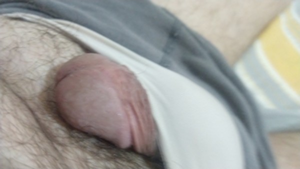 Foto 3 do Conto erotico: A primeira vez que usei calcinha