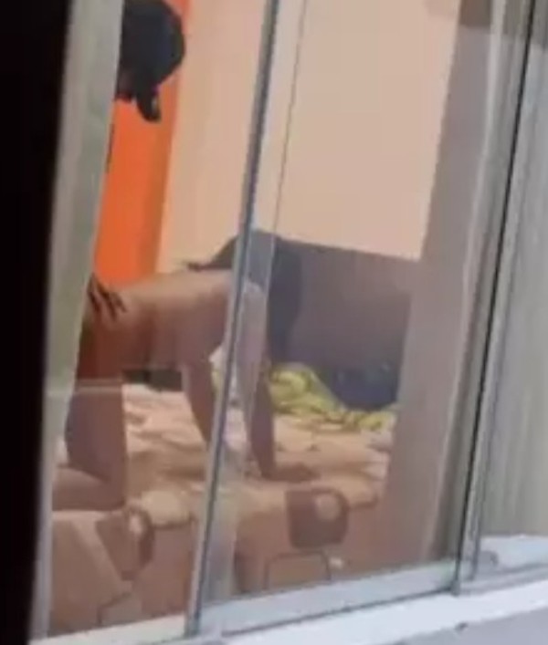 Foto 4 do Conto erotico: Amor de mãe 16 O voyeur da Titia