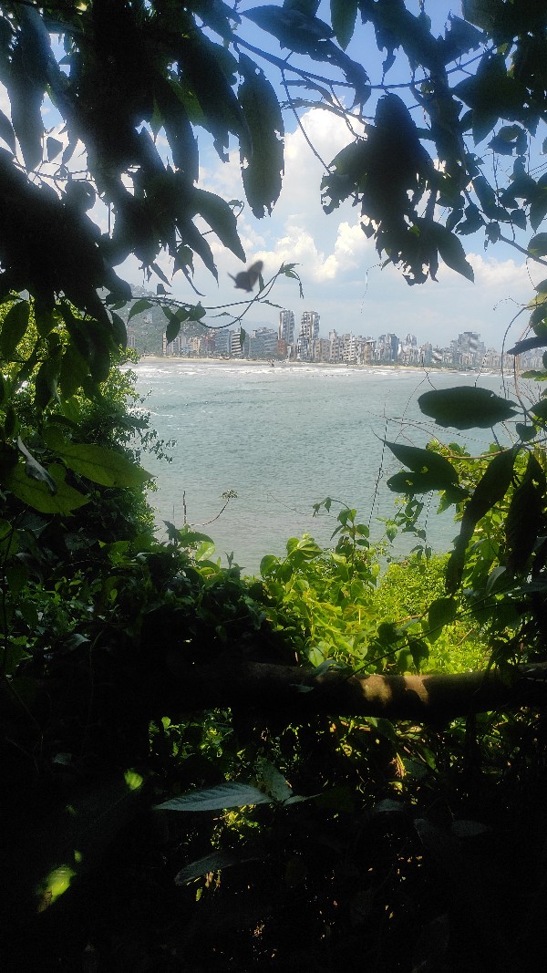 Foto 2 do Conto erotico: Dando pro Carioca machão na trilha da ilha Porchat. SP litoral