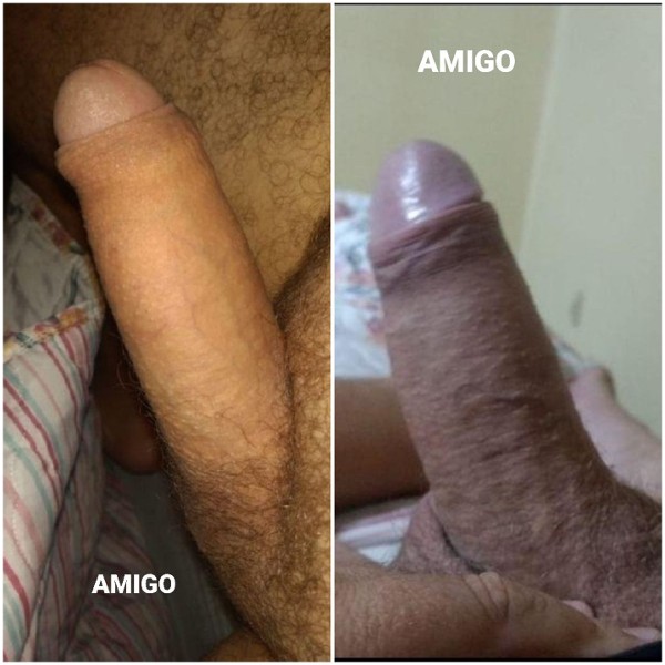 Foto 4 do Conto erotico: MEU ADVOGADO FAVORITO