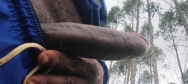 Foto 5 do Conto erotico: Liguei pro corno enquanto gozava dentro da esposa dele