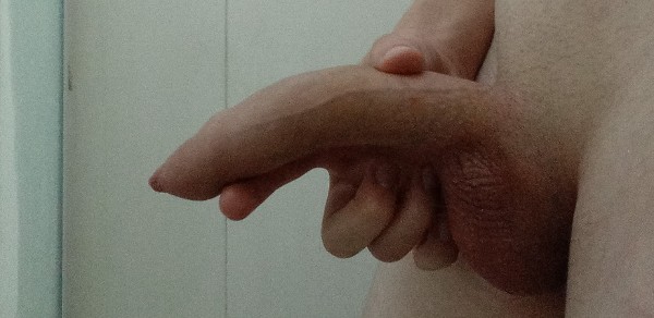 Foto 1 do Conto erotico: Usei Bikini na Piscina Pro Amigo Pauzudo