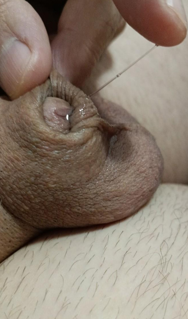 Foto 1 do Conto erotico: Prima com um rabão.