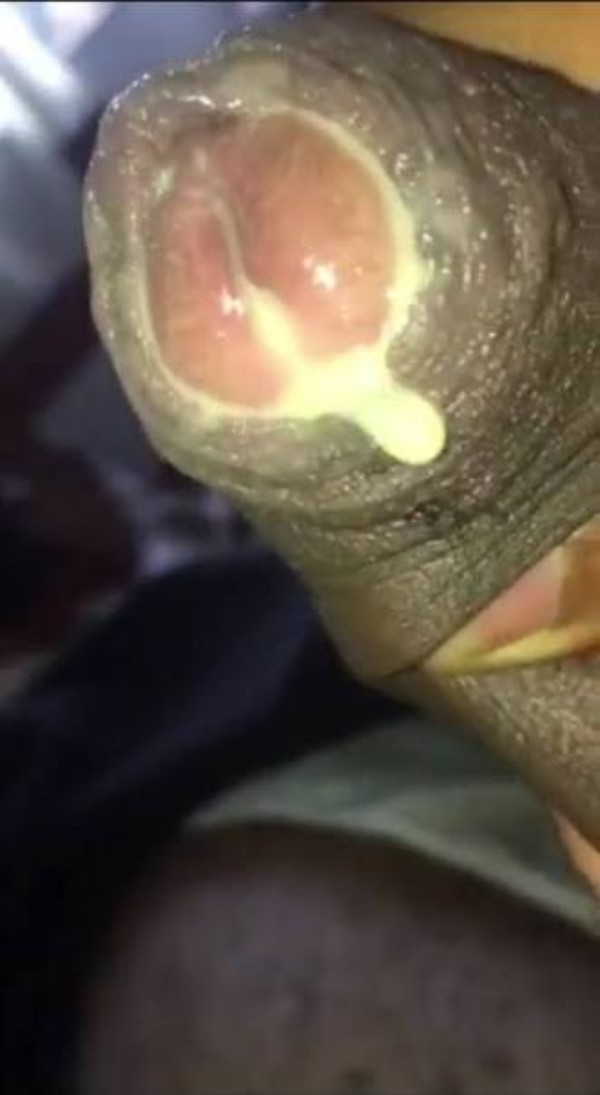 Foto 1 do Conto erotico: Machos com leite podre, CONTO PESADO