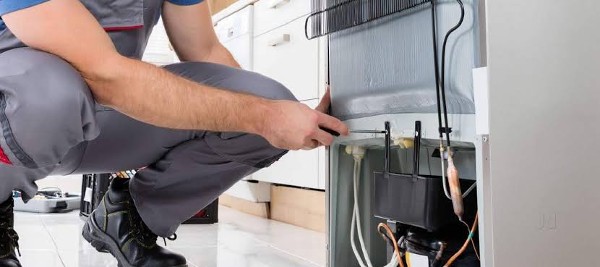 Foto 1 do Conto erotico: O Técnico em refrigeração 1