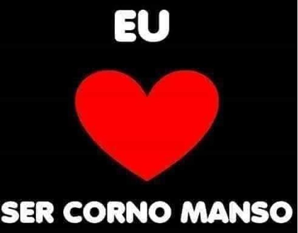 Foto 3 do Conto erotico: CORNO MANSO DE VERDADE. PROCURA.