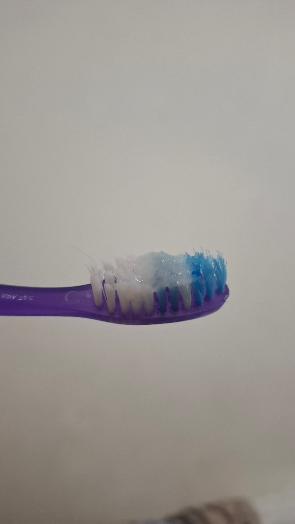 Foto 2 do Conto erotico: Gozo na escova de dente da Sogra