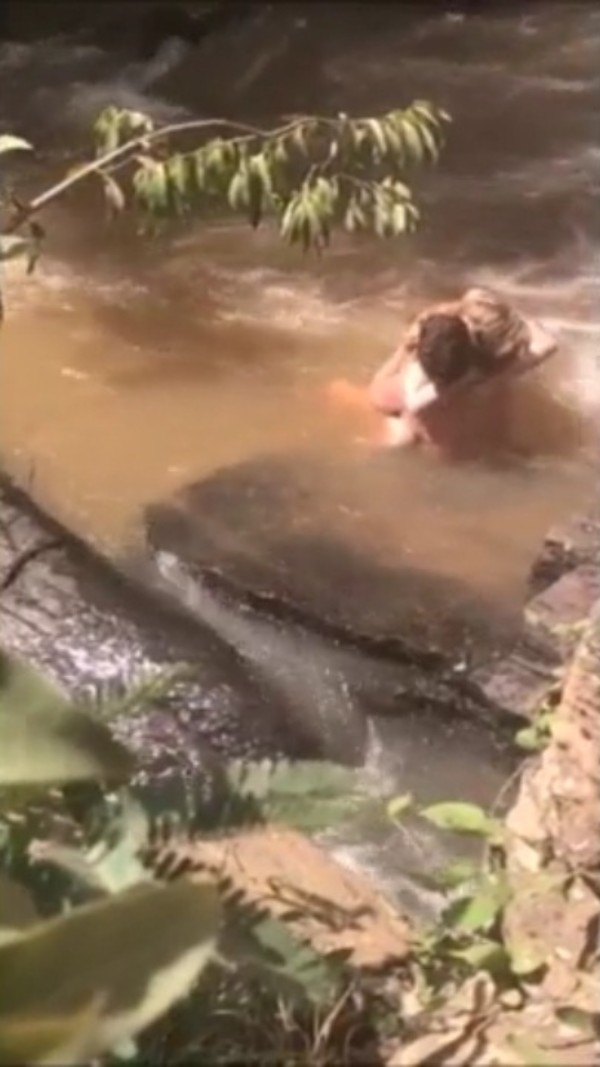 Foto 3 do Conto erotico: MINHA ESPOSA CONHECENDO AMIGOS NO CAMPING SELVAGEM NA CACHOEIRA