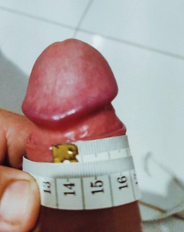 Foto 4 do Conto erotico: Exibicionismo