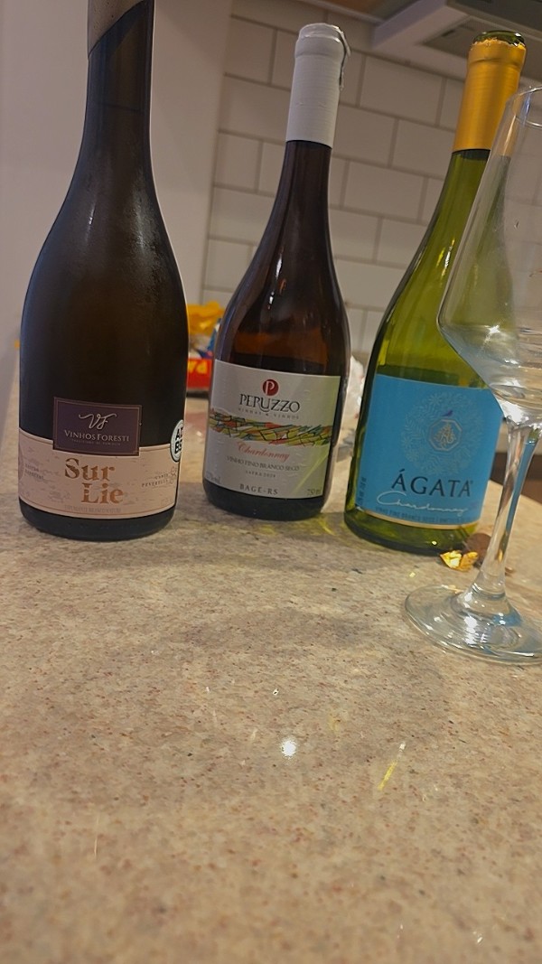 Foto 1 do Conto erotico: O Enigma e o Vinho: Uma tarde em Porto Alegre