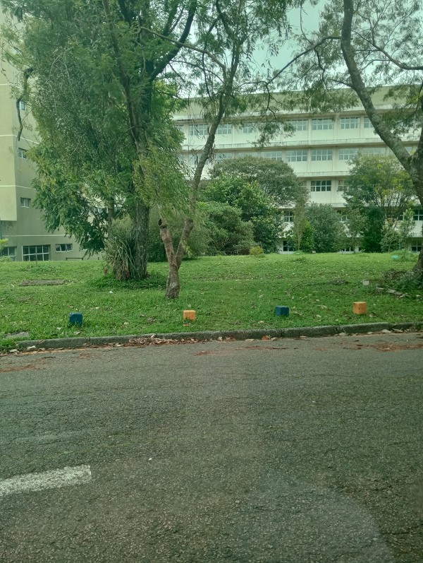 Foto 4 do Conto erotico: Nesse instante.