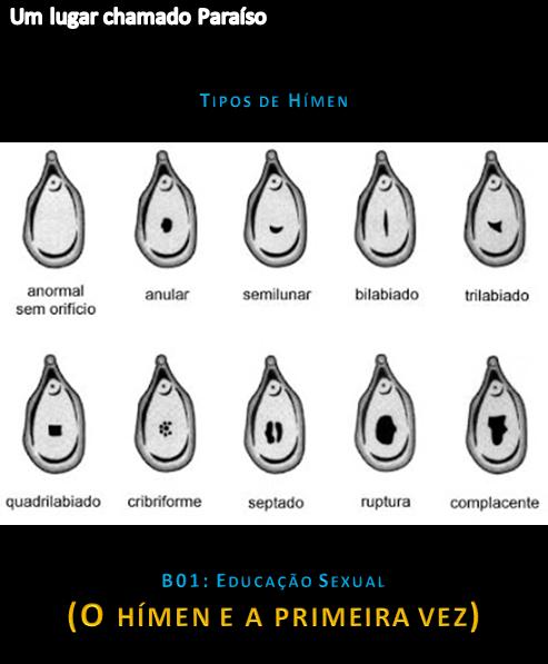 Foto 2 do Conto erotico: B01 – Educação sexual: O hímen e a primeira