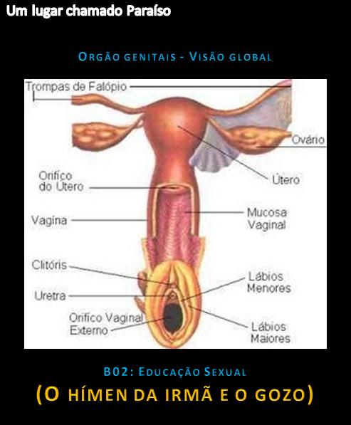 Foto 4 do Conto erotico: B02: Educação sexual: O himen da irmã e o gozo