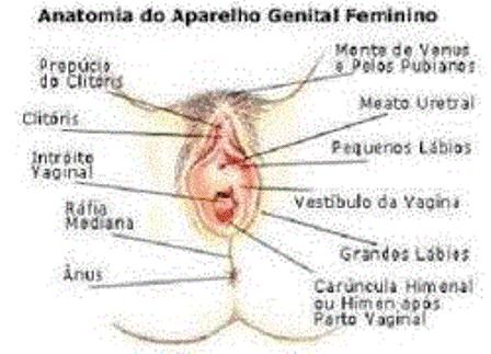 Foto 5 do Conto erotico: Um assunto relevante e importante