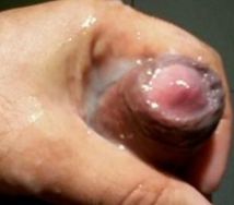 Foto 5 do Conto erotico: UMA DELICIOSA SOBREMESA NO RABO DE UMA AMIGA