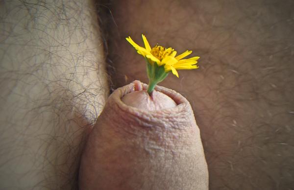 Foto 1 do Conto erotico: Tesão em flor