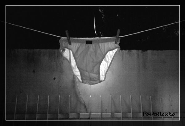 Foto 1 do Conto erotico: A cueca no varal