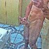 Foto Perfil marcelosaraiva98