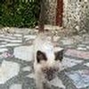 Foto Perfil portuga82