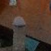 foto perfil usuario misterbari