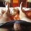 Foto Perfil marcusantos82