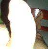 Foto Perfil bemsafado44