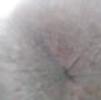 Foto Perfil passivo32