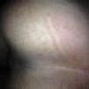foto perfil usuario bundinha5