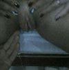 Foto Perfil casal2929