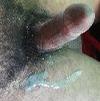 Foto Perfil osortudoeo