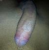 Foto Perfil novin1
