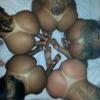 Foto Perfil drgrey769
